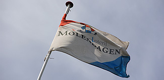 Draaidag Molen Oostvoorne Molendijk