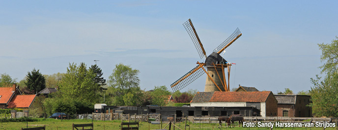 Draaidag Molen Oostvoorne Molendijk