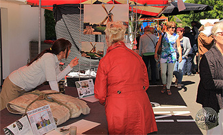 Bos Burchtfair Oostvoorne Molendijk