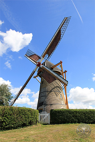 Bos Burchtfair Oostvoorne Molendijk