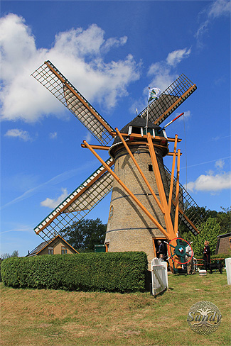 Bos Burchtfair Oostvoorne Molendijk