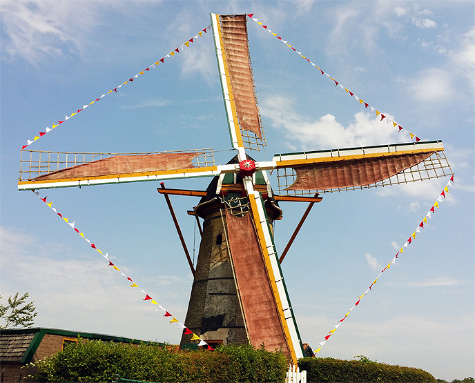 Bos Burchtfair Molen Oostvoorne