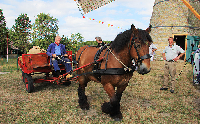 VPR Molendag Molen Oostvoorne