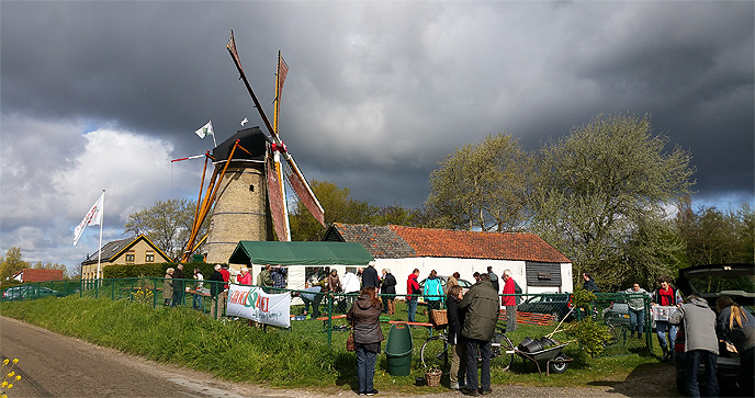 Plantenruilochtend Groei Bloei_Voorne