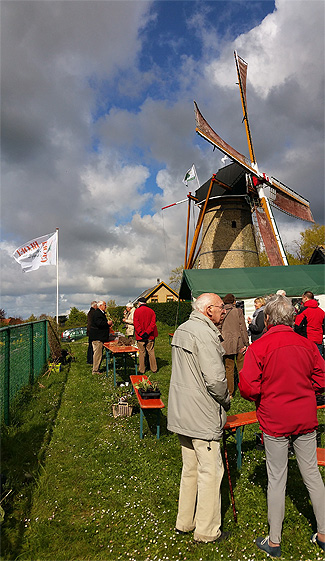 Plantenruilochtend Groei Bloei_Voorne