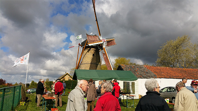 Plantenruilochtend Groei Bloei_Voorne