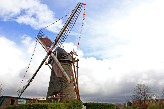 Koningsdag