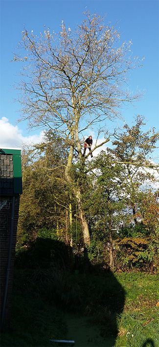 Natuurwerkdag