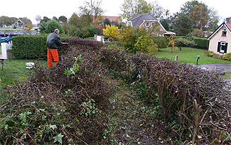 Natuurwerkdag