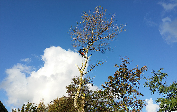 Natuurwerkdag