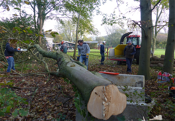 Natuurwerkdag 2017