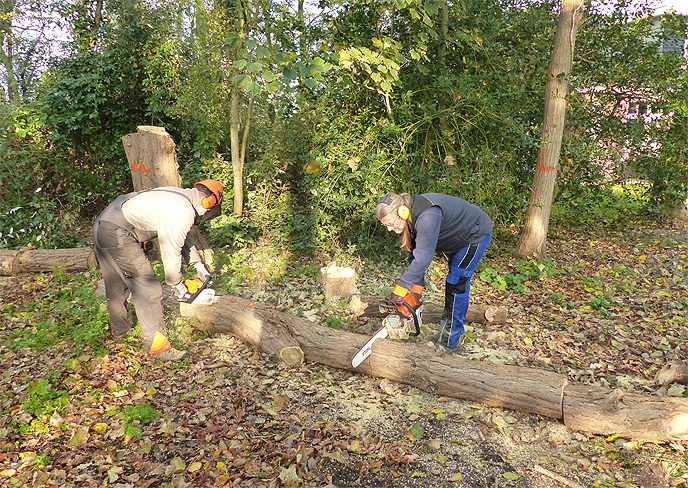 Natuurwerkdag 2017