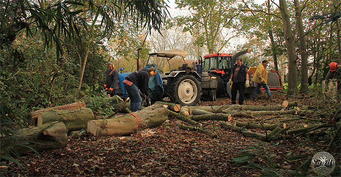 Natuurwerkdag 2017