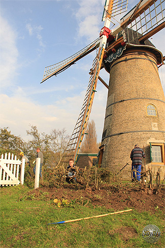 Natuurwerkdag 2017