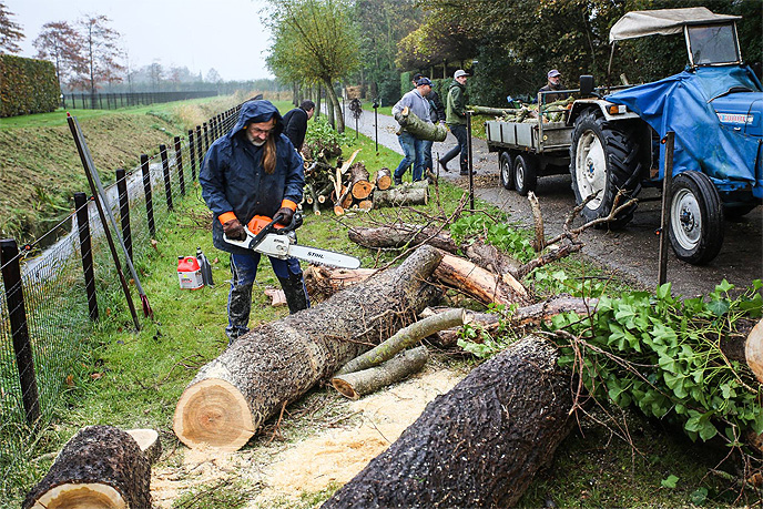 Natuurwerkdag 2017