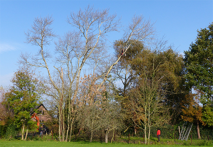 Natuurwerkdag 2017