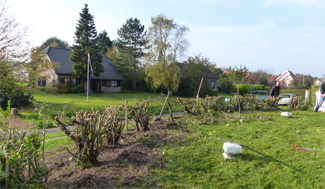 Natuurwerkdag 2017