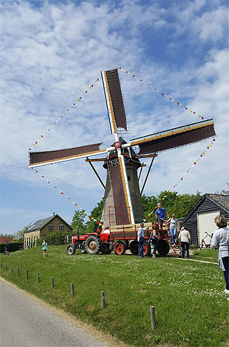 Duinhuisjes Biberbunker Korenmolen Oostvoorne