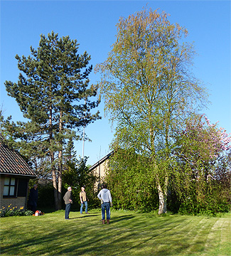 Hoge bomen zagen buurvrouw