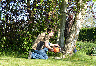 Hoge bomen zagen buurvrouw