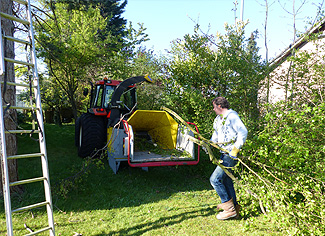 Hoge bomen zagen buurvrouw