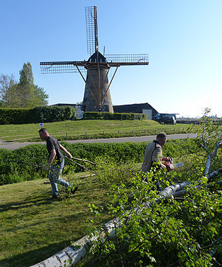 Hoge bomen zagen buurvrouw