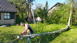 Hoge bomen zagen buurvrouw