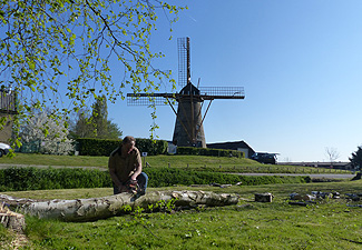 Hoge bomen zagen buurvrouw