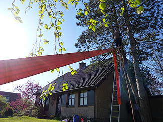 Hoge bomen zagen buurvrouw