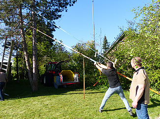 Hoge bomen zagen buurvrouw