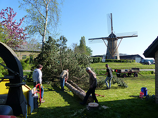 Hoge bomen zagen buurvrouw