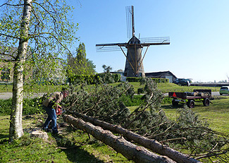 Hoge bomen zagen buurvrouw