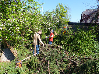 Hoge bomen zagen buurvrouw