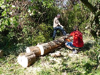 Hoge bomen zagen buurvrouw