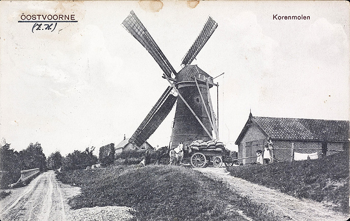 Molen Oostvoorne Molendijk Rijksmonument