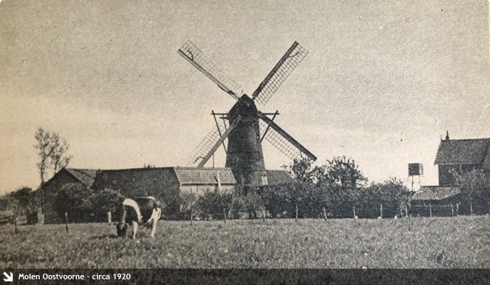 Molen Oostvoorne Molendijk Rijksmonument